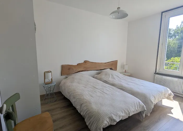 Maison Contemporaine Avec Grand Jardin, Proche Moselle Et Nancy, Idéale Pour Pêche Et Loisirs - Fr-1-584-46 Hébergement de vacances